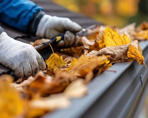 Person Clearing Autumn Leaves from a Home Gutter An adult clearing a house gutter full of colorful autumn leaves, wearing gloves and using a garden tool.